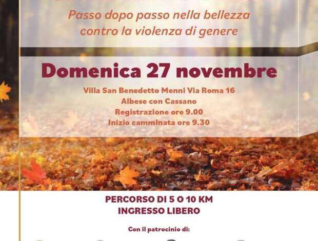 UN NUOVO CAMMINO